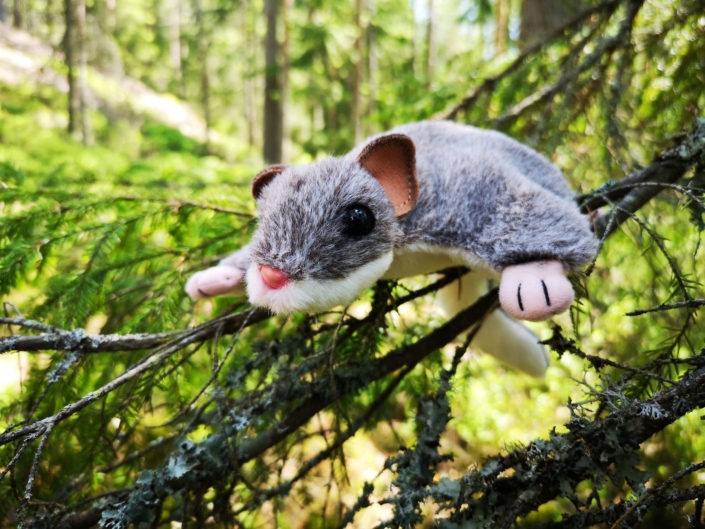 Haltia_Luontokoulu_Liito-orava_kuva_Maarit_Karppinen Pehmoliitis puun oksalla