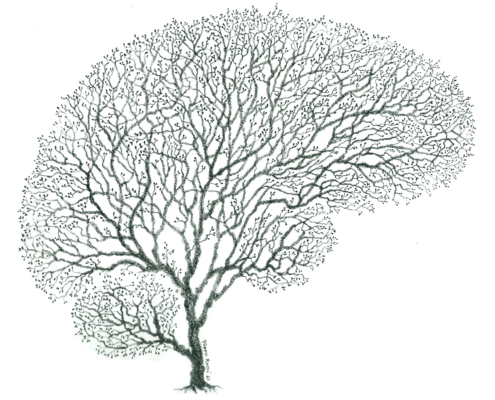 Ett träd som påminner om hjärnan