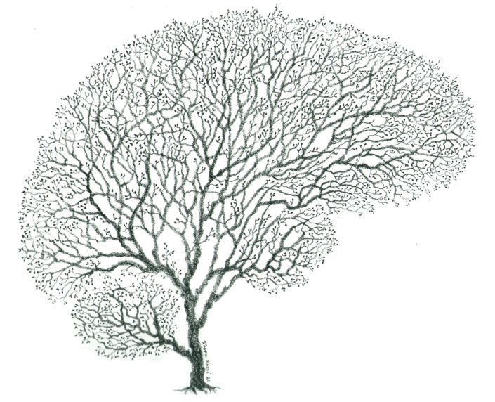 Ett träd som påminner om hjärnan