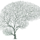 Aivoja muistuttava puu