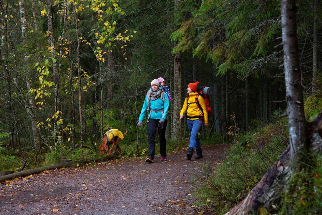 Kaksi ihmistä lapsen ja koiran kanssa kävelevät metsässä.