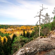 Syksyinen luontomaisema