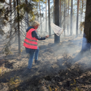 Ihminen haavilla metsänpoltto töissä
