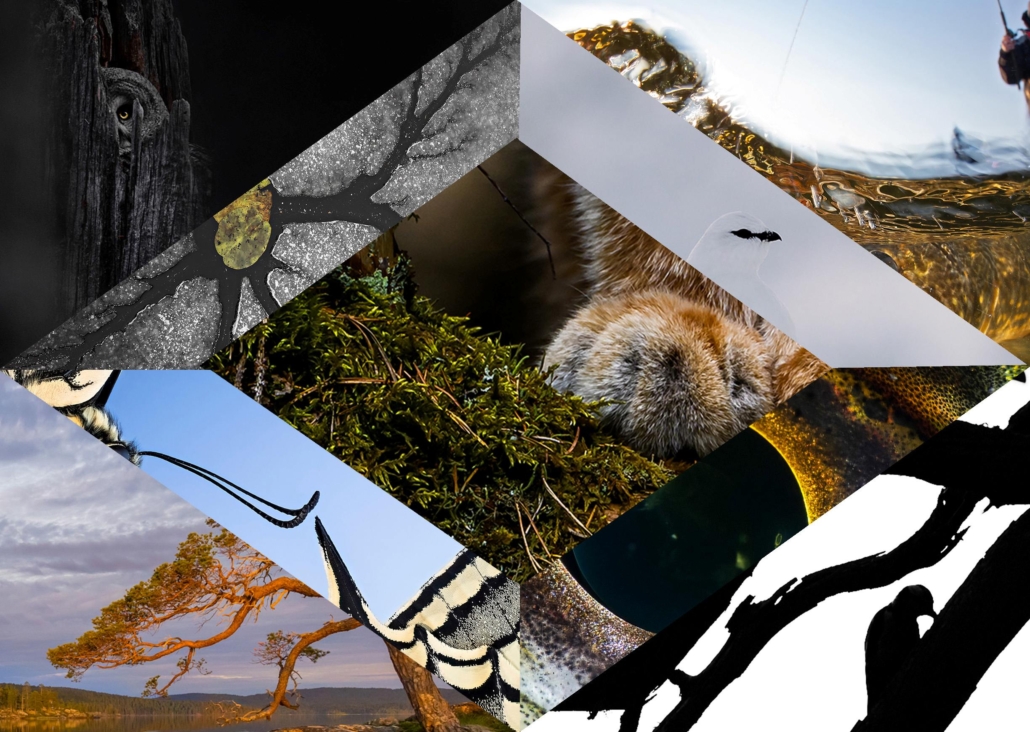 VLK 2025 kollaasi_Vaaka_PR_lores Kuvakollaasi luontokuvista