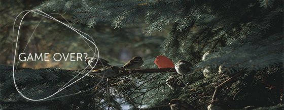 GameOver Lintuja kuusen oksalla, Game over teksti