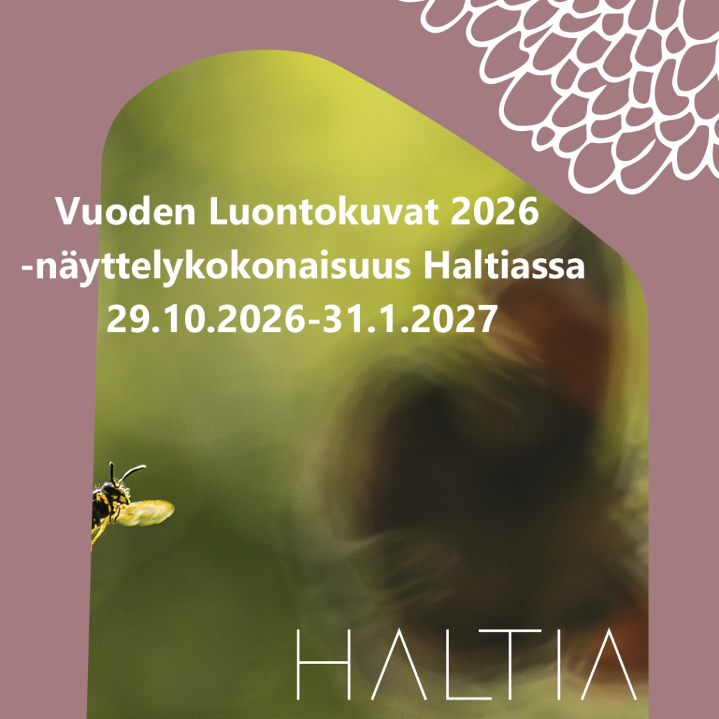 Näyttelyn visuaalinen ilme jossa ampiainen ja perhonen